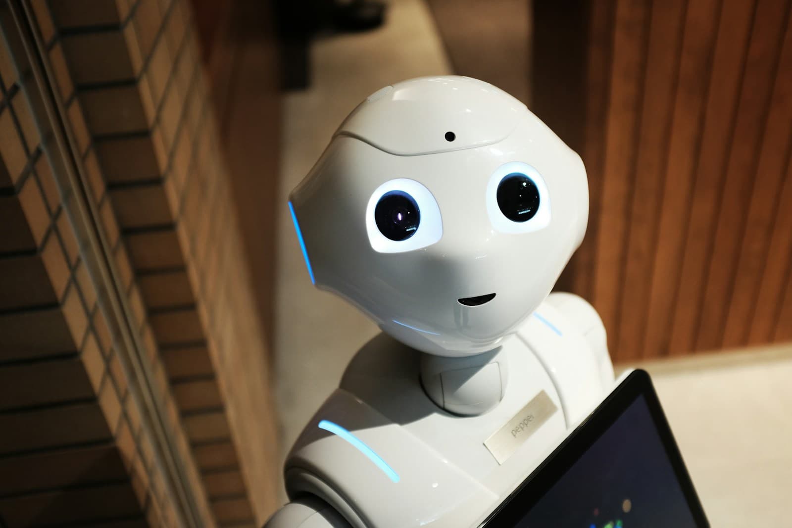 Elon Musk at the G20: AI, Robots, Energy, and the Conditions for Innovation